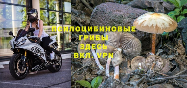 твердый Баксан