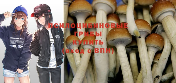 прущий лед Балахна