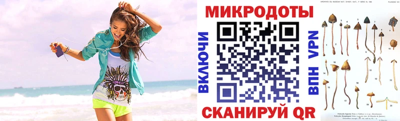 Псилоцибиновые грибы Psilocybine cubensis  Семикаракорск 