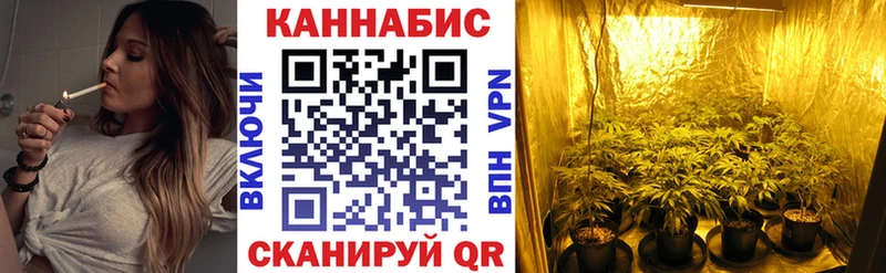 OMG tor  Семикаракорск  Каннабис ГИДРОПОН 